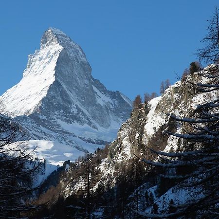 Bolero 4.5 Dachzimmerwohnung Zermatt Eksteriør bilde