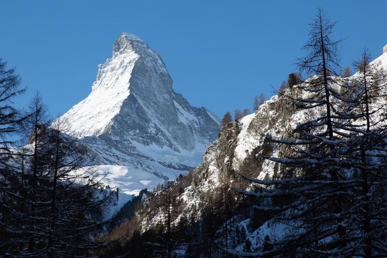 Bolero 4.5 Dachzimmerwohnung Zermatt Eksteriør bilde